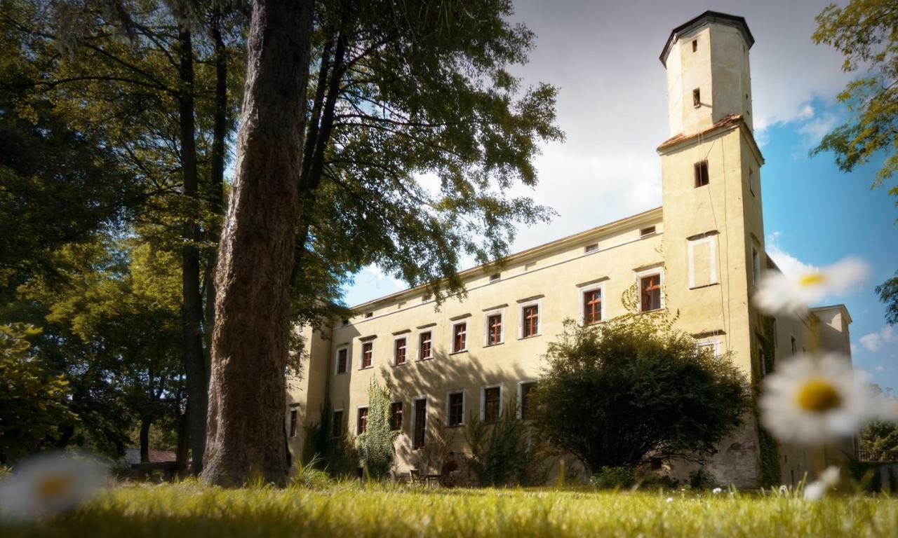 Aparthotel Zamek Dobroszyce Exterior foto