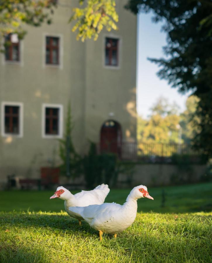Aparthotel Zamek Dobroszyce Exterior foto